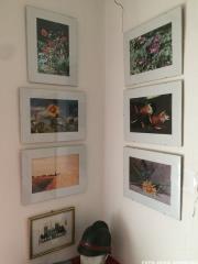 Razkritje spominske plošče dr. Mirka Lenaršiča 52